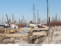 Ecology lifeless. Accident in oil industry. ecology and oil industry.. | CanStock