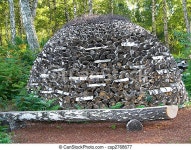 Pack of firewoods in forest. | CanStock