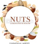 Healthy food vector concept with different nuts. round banner with nuts and illustration raw seed and cashew nut. | CanStock