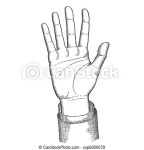 Palm drawn in the vintage style. | CanStock