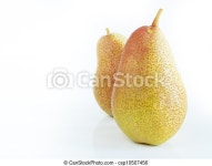 Pear. Ripe pear on white background. the cultivation of the pear in cool temperate climates extends to the remotest antiquity... 