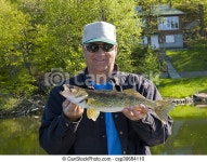 Walleye fishing. A fisherman with a minnesota walleye. | CanStock