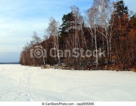 Winter landscape. | CanStock