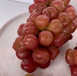 마이하트&샤인머스켓ㅣ샤인머스켓 2종 세트 | 텀블벅 - 크리에이터를 위한 크라우드펀딩 마이하트&샤인머스켓ㅣ샤인머스켓 2종 세트