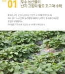 국민 겨울간식 : 고창에서 온 무방부제 황토 고구마말랭이 by 푸드어바웃(해풍영어조합법인) 국민 겨울간식​ : 고창에서 온 무방부제 황토...