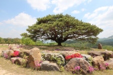 강원도 양구에서 우리 농산물로 만든 된장, 고추장, 간장을 맛 보세요.