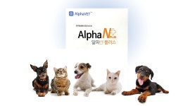 와디즈 검색 - 크라우드펀딩 와디즈