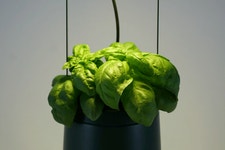 반려식물, 홈가드닝, 플랜테리어 시작은 스마트화분 에쓰팟과 함께 by 블룸엔진 주식회사