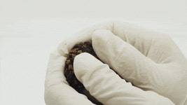 진짜 없어? no밀가루, no색소 [NO.1 수제마카롱] by 더블스윗