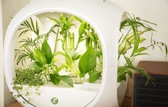 가정용스마트팜, 가드닝+플랜테리어 직접기른 정성을 선물하세요! by 주식회사 닥터플랜츠