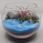 테라리움으로 나만의 작은 바다 만들기 I 일석이조의 물과 위생 캠페인