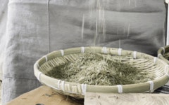 사르는 순간 눈앞에 펼쳐지는 싱그런 숲속 feat.저세상힐링 인센스스틱