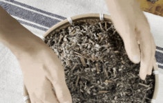 사르는 순간 눈앞에 펼쳐지는 싱그런 숲속 feat.저세상힐링 인센스스틱