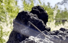 사르는 순간 눈앞에 펼쳐지는 싱그런 숲속 feat.저세상힐링 인센스스틱