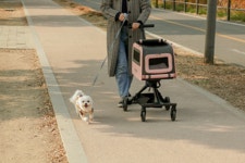 [한정수량] 집나가도 개편하개! 미니멀한 펫유모차로 더욱 더 간편하개 !