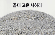 by 주식회사 티와이스토리 [4.9점/역대급 후속작]한 번도 경험한 적 없는 미세입자 고양이 모래 by 주식회사 티와이스토리 