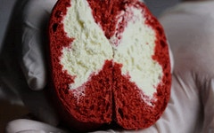 조엄고구마 크림 토토미 원주빵 by 주식회사 온세까세로 강원도 원주 고구마 농가 돕기 프로젝트! 조엄고구마 크림 토토미  원주빵 by 주식회사... 