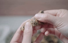 [한 봉에 17OO원]수제김부각 하나로 10억! 단짠단짠 속세맛으로 등장 by 주식회사 프레시멘토