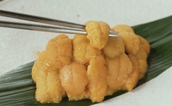 [프리미엄 홈마카세] 5성급 호텔에서 맛보는 우니를 그대로 가져왔습니다.