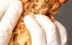 [앵콜] CJ 한정수량 미슐랭 퀄리티 럭셔리 MSC 인증 랍스터 플래터 by 씨제이프레시웨이 [앵콜] CJ 한정수량 미슐랭 퀄리티 럭셔리 MSC 인증... 