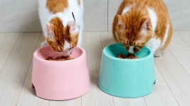 와디즈 검색 - 크라우드펀딩 와디즈