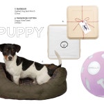 EDITORIAL | WIZWID 위즈위드