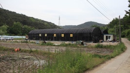 다산붕어낚시터 - 경북 고령군 다산붕어낚시터 - 경북 고령군 
