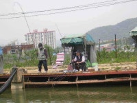 유료터정보 > 유료터점주조황 > [5월 세번째 조황]