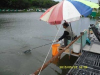 유료터정보 > 유료터점주조황 > 경주 동산낚시터-5월 3주 조황안내