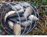 유료터정보 > 유료터점주조황 > 경력을 무시하면 안되요....