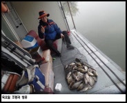 유료터정보 > 유료터점주조황 > 아산죽산지4/19일 목요일 조황과 방류
