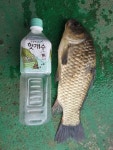 유료터정보 > 유료터점주조황 > 아산안골지 만수 로 4짜가 시작됩니다.
