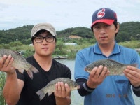 유료터정보 > 유료터점주조황 > 토종붕어 내동지 주말조황