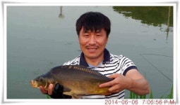 유료터정보 > 유료터점주조황 > 충남 아산 월선낚시터 6월 6일자 조황정보