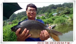 유료터정보 > 유료터점주조황 > 충남 아산 월선낚시터 8월 24일자 조황정보