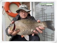 유료터정보 > 유료터점주조황 > 매일 그대와, 송전지 (송전낚시터) 송도좌대 조황.