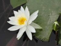 유료터정보 > 유료터점주조황 > 휴가철 낚시터 근교 가볼만한곳.~^-^