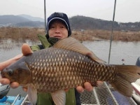 유료터정보 > 유료터점주조황 > 고삼지양촌]주말동안도 계속 호조황이 이루어지고 있습니다.