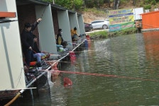 유료터정보 > 유료터점주조황 > 조황입니다 .