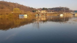 유료터정보 > 유료터점주조황 > 당진 가교리낚시터 4월 15일 조황