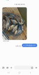 유료터정보 > 유료터점주조황 > 2023년 11월 마지막주 조황정보 용담낚시터/사암지