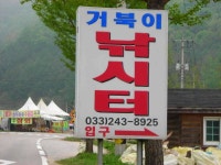 유료터정보 > 유료터점주조황 > 의암호 거북이낚시터