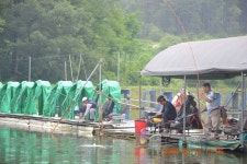 유료터정보 > 유료터점주조황 > 대박조황 과 수입붕어방류