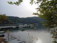 유료터정보 > 유료터점주조황 > 주말 수고하셨읍니다 붕어방류 대량으로 했네요 유료터정보 > 유료터점주조황 > 주말 수고하셨읍니다  붕어방류... 