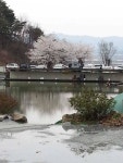 유료터정보 > 유료터점주조황 > 오창일신낚시터 고기터졌습니다.