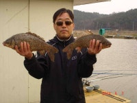 유료터정보 > 유료터점주조황 > 4짜 대물 토종붕어가 매일 나옵니다.