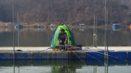 유료터정보 > 유료터점주조황 > 신원낚시터[3월20일]조황소식~~