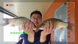 유료터정보 > 유료터점주조황 > 신원낚시터 [9월 30일] 토종 덩어리 소식입니다~~