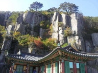 커뮤니티 > 자유게시판 > 주말 산행