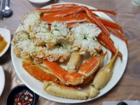 커뮤니티 > 자유게시판 > 대게..